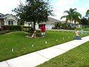 Training for Dog Fences Dog Fence Training
